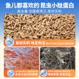 钓鱼王地狱猫昆虫蛋白鱼饵腥香黑水虻幼虫饵料鲫鲤通用饵 腥3包装