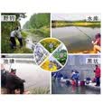 2025全新升级钓鱼神器黑科技全自动水下诱鱼集鱼灯聚笼超声波诱鱼 单个装【3秒聚拢】