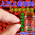 鱼诱过江风钓鱼颗粒饵料正品鲜丹饵邓刚推荐强效诱鱼饵四季通用野钓饵 1瓶【小试牛刀】