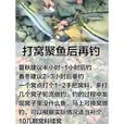 乐加酷溪流钓打窝颗粒溪石斑鱼打窝料野钓鲫鱼小鱼溪哥马口白条钓鱼饵料 1斤装腥香味打窝颗粒