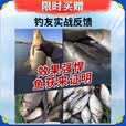 超声波诱鱼器野钓黑科技全自动探鱼器2025新款万能聚鱼捕捉鱼神器 无线传输 单根装【新手推荐】 2025新款万能聚鱼神器