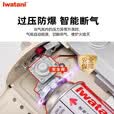 岩谷（Iwatani）卡式炉气罐燃气罐瓦斯气安全防爆丁烷气罐户外便携煤气罐装气体 【野炊出行】卡式炉+4气+便携箱