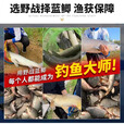 千峰剑鱼饵蓝鲫青春版六蟲腥香饵料野钓龙王恨鲫鲤草鱼食黑坑竞技通用型 50克迷你款蓝鲫X5 2包【共100克】
