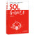 SQL查询的艺术(异步图书出品)