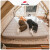 NatureHike挪客内置泵布面充气床便携户外露营野营睡垫气垫床充气垫 双人-夏日沙
