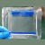Western blot 蛋白预制胶 sds-page 电泳蛋白胶 MOPS 体系 4%-20% 12% 15孔(10块/盒)电泳液(F15012G