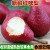 拉尔庄园新鲜红啤梨 红皮梨 红梨子 太婆梨 大荔红梨 当季新鲜水果 5斤（1斤约5个左右）