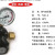 国胜 YQD-06氮气减压器（大体） YQD-06氮气减压器（大体） 