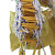 雨林军  软梯绳梯 逃生梯折叠梯 绳梯高空梯子 训练软梯子 攀登绳梯工程安全绳梯    5米/卷   单位：卷