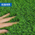 科力邦（Kelibang）仿真人造草坪地毯 塑料假草皮阳台公园装饰绿植绿色地毯 足球场草坪 加密夏草20mm KB1218