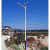 新农村路灯锂电池 5米6米大功率乡村户外双头LED高杆灯 接电款7米60W锥形杆