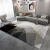 初构想（CHUGOUXIANG）现代地毯客厅简约轻奢茶几毯北欧卧室沙发2024新款家用地垫 简约1号款 140cmx200cm