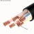 国标铜芯YJV2 3 4 5芯10 16 25 35平方室外工程电力电缆 电缆线 YJV5芯16平方(10米)