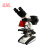 BM上海彼爱姆双目UIS落射荧光显微镜BM-20Y