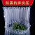 西瓜水果气柱袋8柱-16柱气泡柱防摔快递包装气柱片加厚可定制 加厚款（100个） 14柱（7斤瓜）