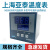 上海亚泰NE-6411V-2仪表温控器NE6000-2温控仪NE-5411数显温度表 NE-6411V-2D(N) K 400度