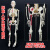 恋品惠人体骨骼模型骨架小白全身脊椎仿真医学结构解剖骷髅脊柱儿童玩具 骨骼相关挂图+视频买任意模型送