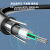 沧仁 光纤GYXTW室外光缆6.0mm线径外径 8芯500米 单模架空地埋铠装光缆光纤线 CR-R132