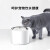 小佩宠物猫咪饮水机 智能第六代不锈钢自动循环过滤狗饮水机器可恒温 3.0滤芯5片装（通用型）