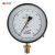 红旗 YB-150精密压力表水压表空气压表高精度真空压力表液压精度0.4,M20*1.5,径向 0-40MPA 