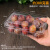 一次性水果盒 超市一次性水果包装盒透明塑料盒水果500M水果店一 300克果蔬盒-整箱600个