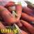采缇（CAITI）蔬菜新鲜胡萝卜农家自种萝卜无公害宝宝小三斤 胡萝卜三斤装 京鲜配