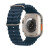 苹果（Apple） Watch Ultra2苹果手表iwatch ultra2智能运动手表 蓝色 海洋表带