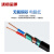 沈缆金环 ZR-KVVP22-450/750V-2*1.5mm² 国标阻燃铜芯钢带铠装屏蔽控制电缆 1米