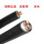 恒飞电缆（HengFeiCable） 聚乙烯交联绝缘电力电缆 YJV-0.6/1kV-4*95+1*50 黑色 10m