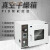 真空烘箱干燥箱电热恒温箱实验室用工业烤箱加热试验箱老化烘干机 DZF-6090+泵(双极4L)