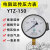 电阻YTZ150恒压供水变频器专用远程表规格齐全 0-1.0MPa