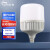 岁艺LED灯泡节能灯泡B22卡口家用商用光源防水防尘照明球泡10W白光