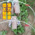 种菜棚架新型农用小拱棚支架遮阳防虫网拱杆菜地骨架暖棚育苗 8毫米3.0米长20根(送手套)