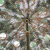 金树叶 野营迷彩遮阳伞 3.2m圆形岗亭遮阳遮雨带金属底座 丛1林色AA