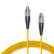 QANNE 电信级光纤跳线fc-fc(UPC) 5米 单模单芯 Φ3.0跳纤光纤线 阻燃低烟无卤收发器尾纤BY-5331SM