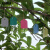 安赛瑞 PVC植物吊牌 彩色防水标签吊签牌 花卉园艺塑料小挂牌 长4.5宽3cm1000张绿色  530329