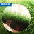 科力邦（Kelibang）仿真人造草坪地毯 塑料假草皮阳台公园装饰绿植绿色地毯 足球场草坪 加密军绿20mm KB1218