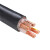 凤达 电线电缆 国标铜芯4+1芯铠装电力电缆地埋电缆 YJV22-4*16+1*10平方 1米