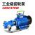 220V380V电动抽油泵自吸不锈钢齿轮泵高粘稠度机油食物油泵 不锈钢370w(220V)K