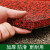 七彩阁 PVC丝圈地垫 加厚除尘地垫 13mm厚 红色 单位：米	1.2米宽