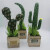 CLCEY创意北欧仿真仙人掌小盆栽绿色热带植物室内办公室谈单桌装饰摆件 绿色带花仙人掌