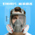 扬笙福防毒面具全面罩喷漆防尘口罩全脸头罩放毒氧气化工气体防护罩 6800主体面具