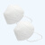 工霸（GONGBA）N95防护口罩防飞沫防尘成人口罩非灭菌 50只独立包装/盒