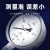 SYCIF上海仪川仪表厂耐震抗震全不锈钢真空压力表水气油压高温YN-100BF YN-100BF 0-0.1MPA 1公斤