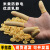 橡胶手指套防静电米黄电子工业耐磨劳保防护一次性乳胶手指套无粉手指套 普通米黄500克