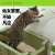尾巴生活（FURRYTAIL）团子豆腐猫砂 2.3kg/袋 6L无尘豆腐砂宠物用品（新老装随机发货）
