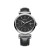 飞亚达（FIYTA）印系系列手表商场同款自动机械男表钟表商务休闲男士手表生日礼物 皮带GA850002.WBB