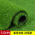 以琛定制仿真草坪地毯人工假草皮户外铺垫人造塑料草绿色围挡足球场幼 20厘米加密款春草(05米宽
