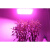 上海亚明LED全光谱太阳灯防水植物灯投光灯室外生长补光多肉 亚明200瓦全光谱植物灯(经济)