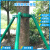 钢管树木支撑架固定器园林绿化养护防风大树支撑杆苗木镀锌行道树 1.5米长绿色48管1.2厚4根+抱箍